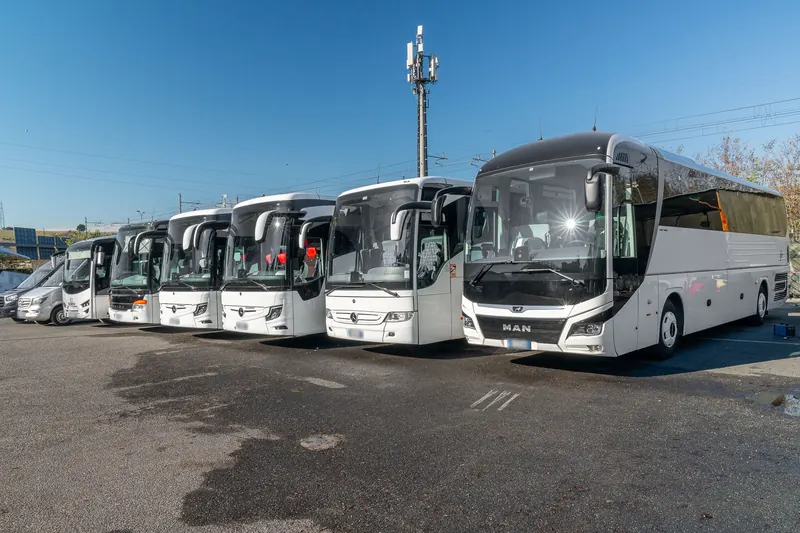 Pullman e minibus bianchi allineati in un piazzale